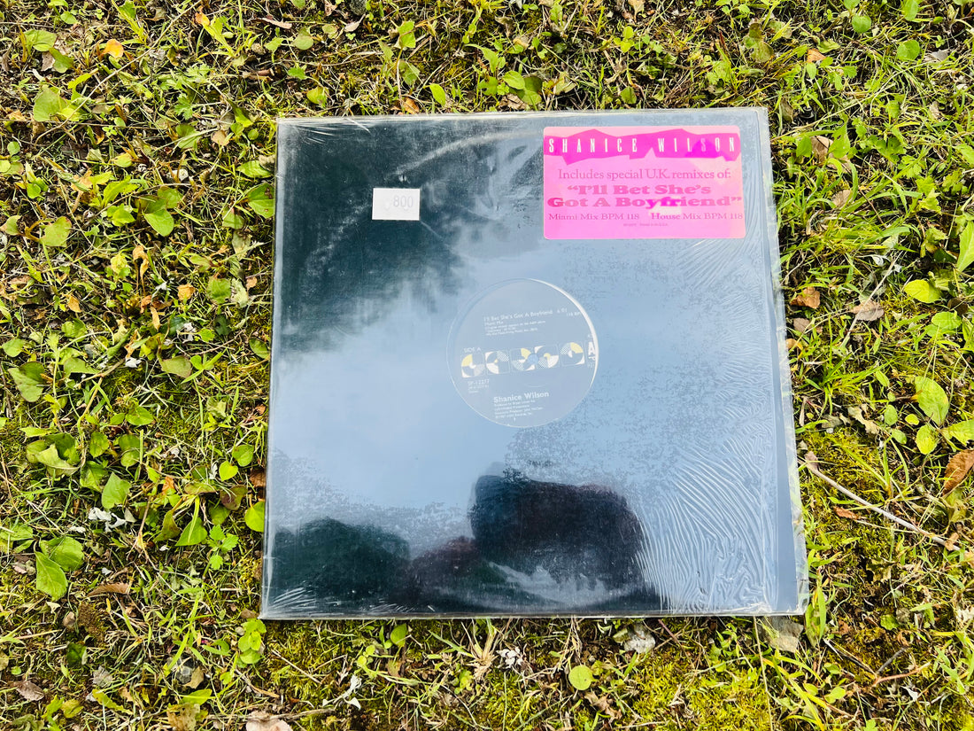 今日のプレイリスト#28「Shanice Wilson(シャニース・ロレイン・ウィルソン)」